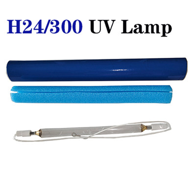H24/300 UV Lamp  